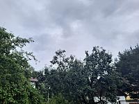 Olešná