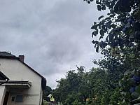 Olešná