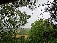 Habrovany