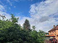 Olešná