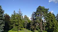 Varnsdorf