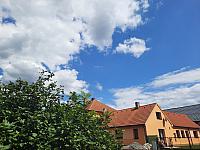 Olešná