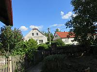 Třibřichy