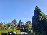 Olešná