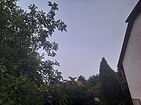 Olešná