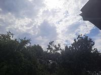 Olešná