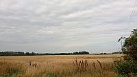 Lukovany