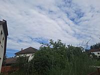 Olešná