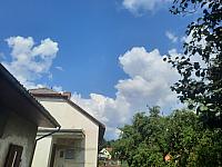 Olešná
