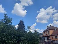 Olešná