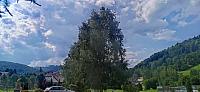 Holčovice
