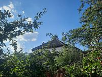 Olešná