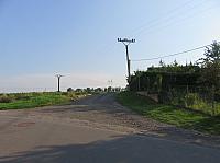 Třibřichy