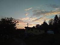 Hrčava