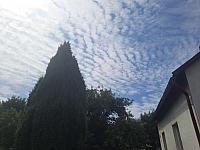 Olešná