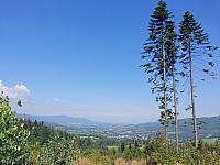 Bukovec