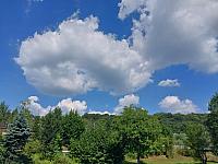 Ropice