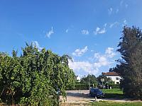 Olešná