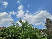 Olešná