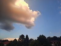 Olešná