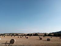 Lukovany