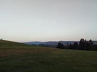 Hrčava