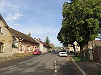 Třibřichy