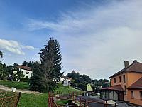 Olešná