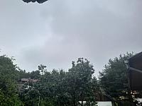 Olešná
