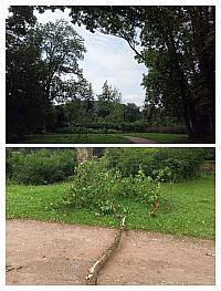 Rousínov