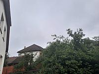 Olešná
