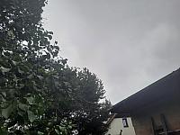 Olešná