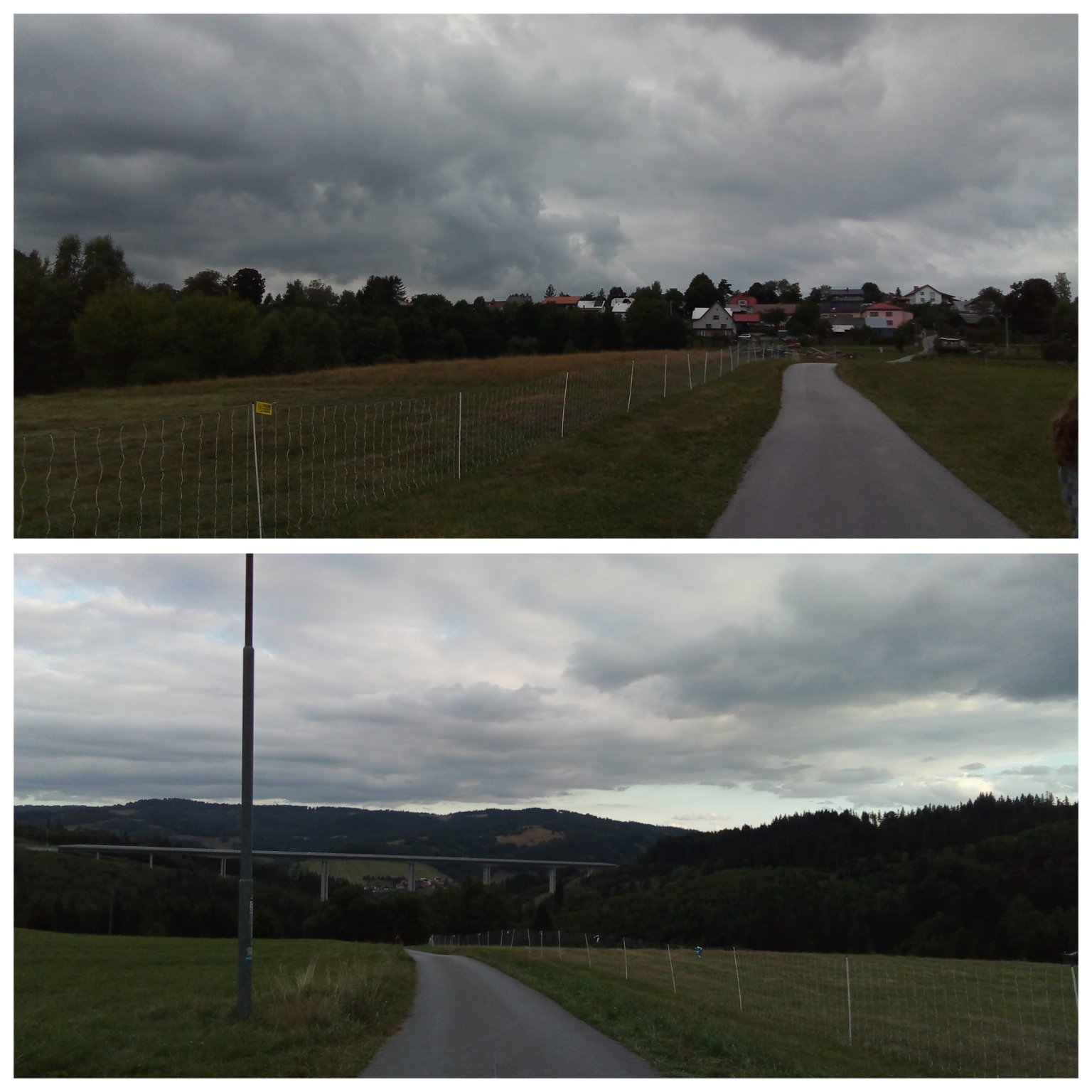 Hrčava