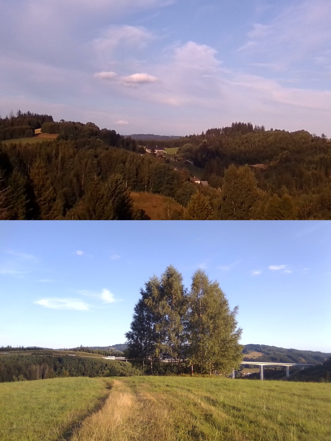 Hrčava