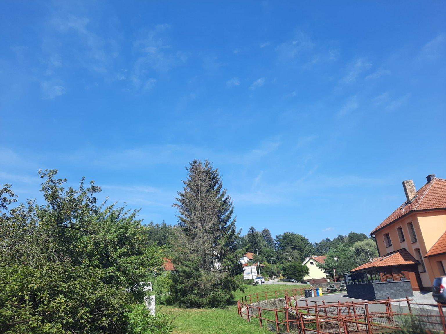 Olešná