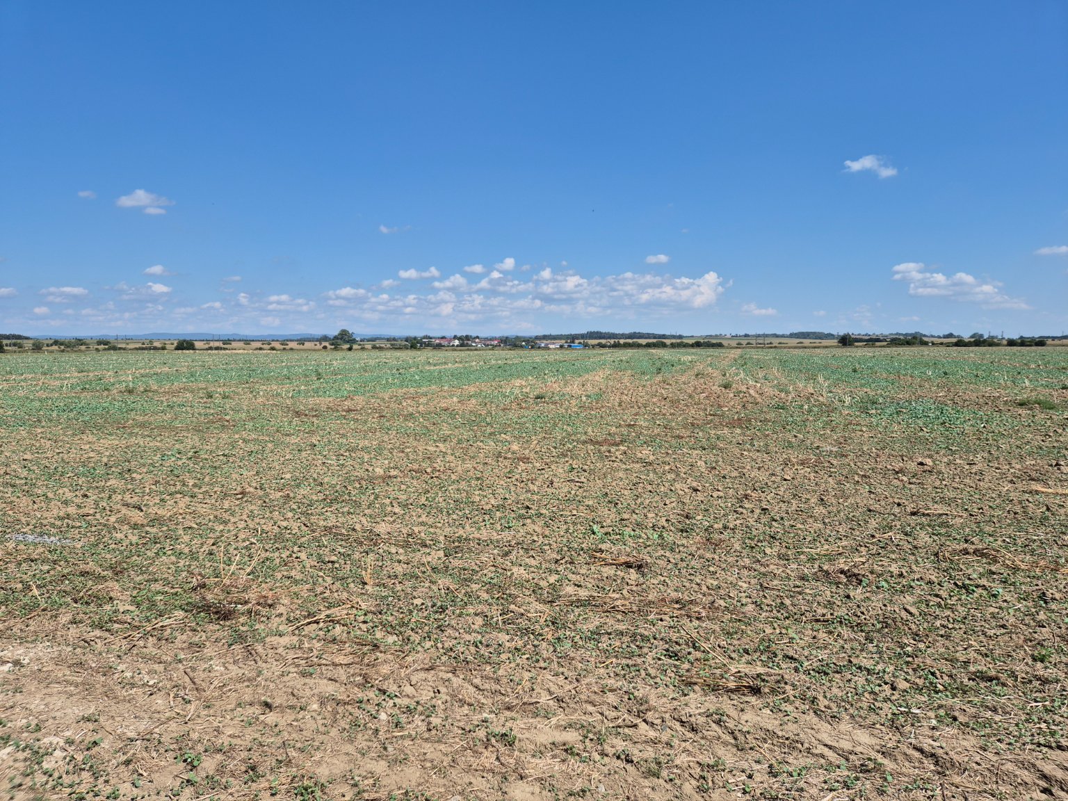 Císařov