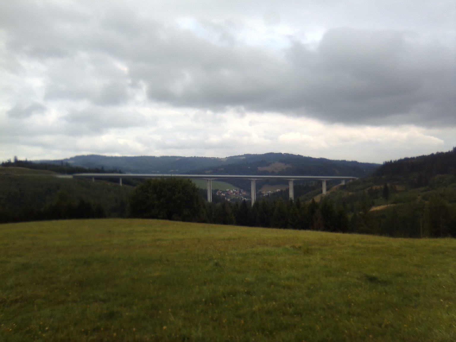 Hrčava