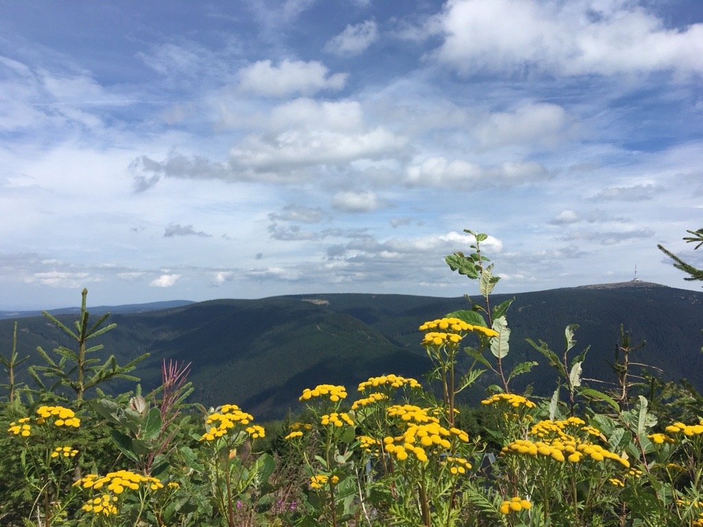 Loučná nad Desnou