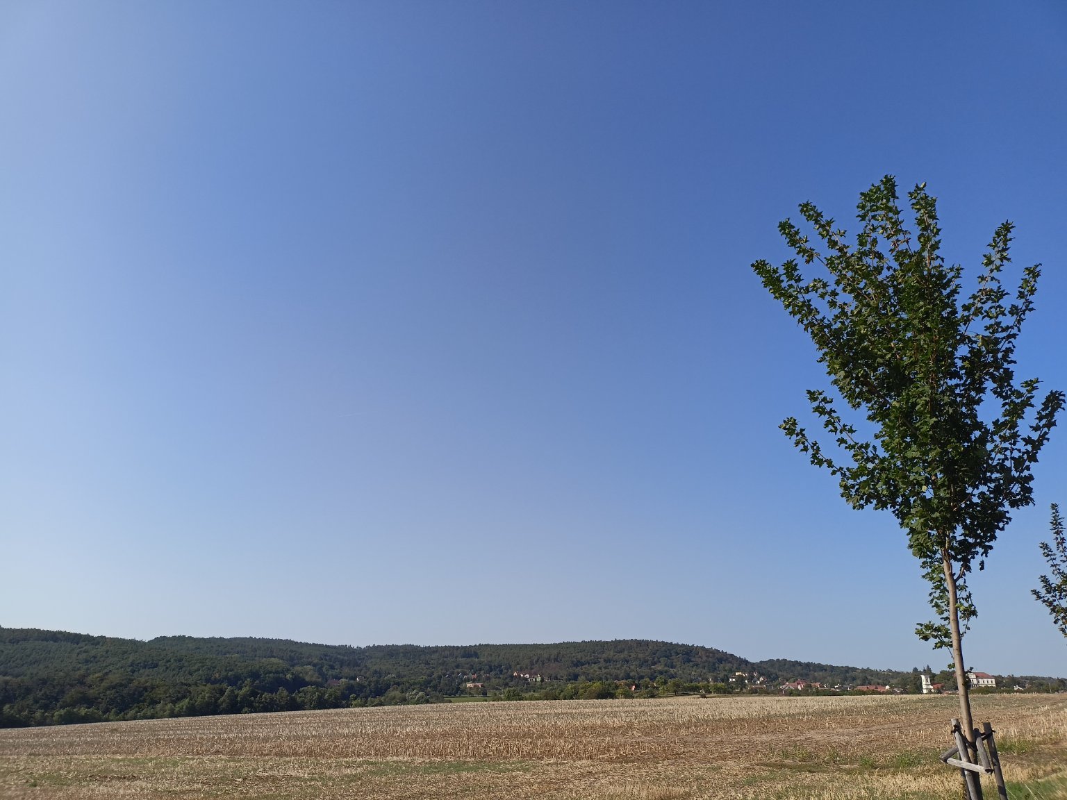 Habrovany