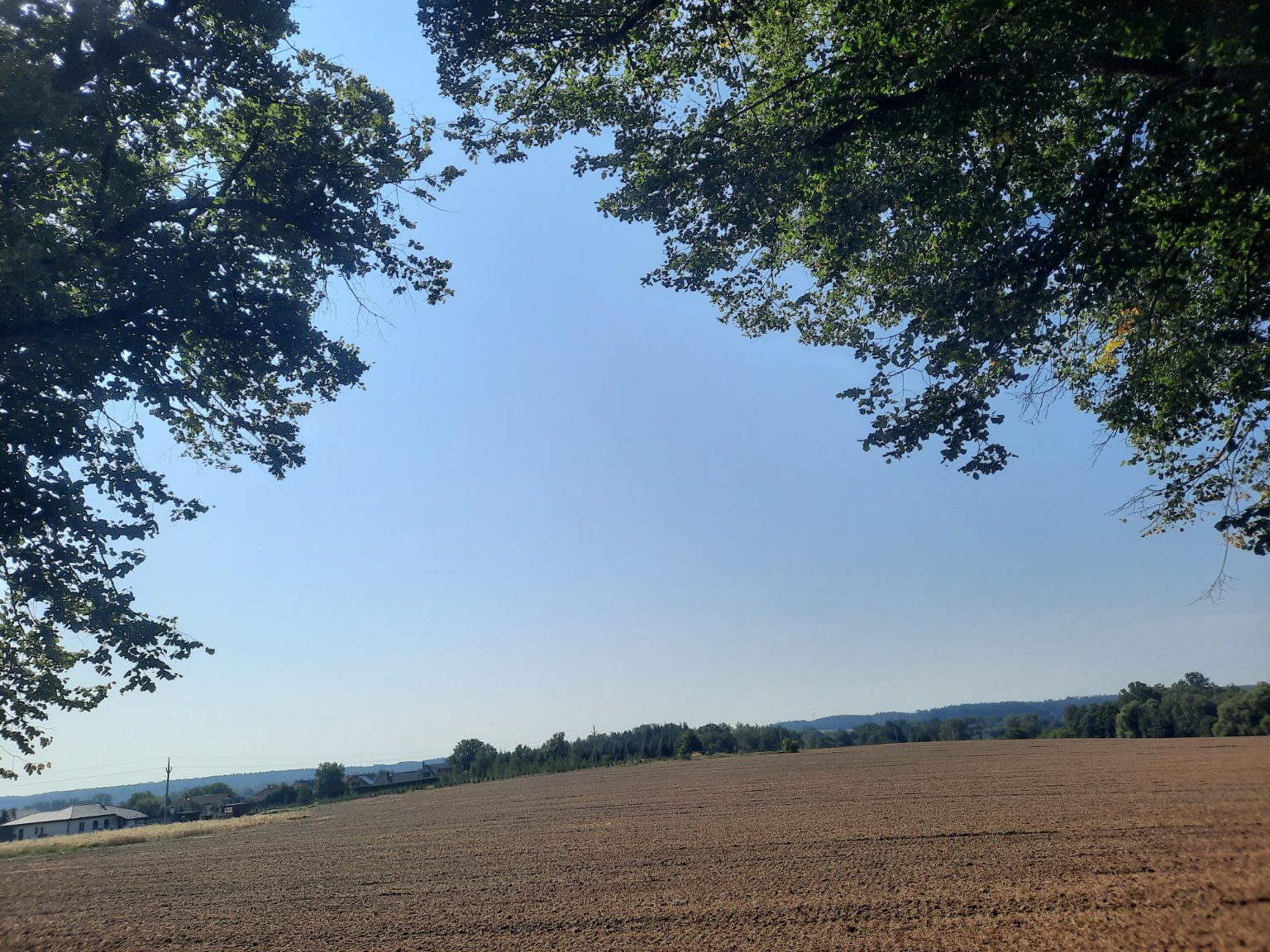 Tučapy