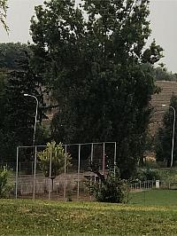 Neškarednice