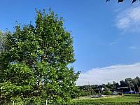 Jihlava