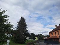 Olešná