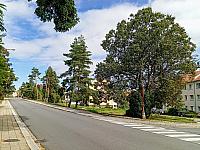 Třebíč-Borovina
