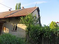 Třibřichy