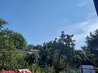 Olešná
