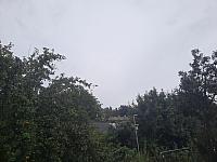 Olešná