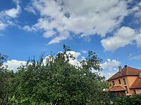 Olešná