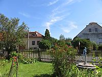 Třibřichy