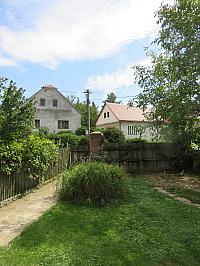 Třibřichy